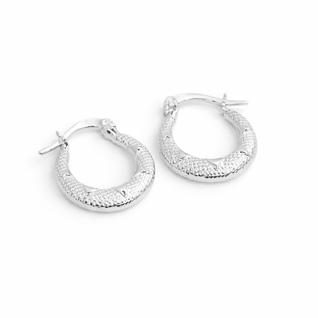 Aretes argollas