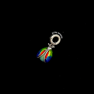 Charm escarabajo