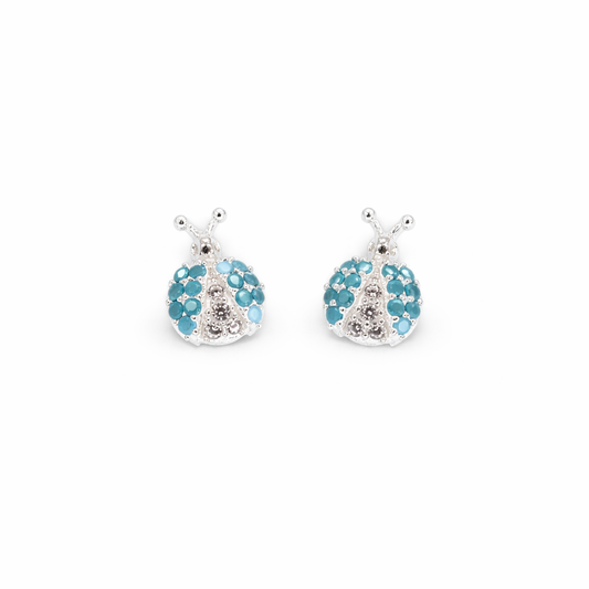 Aretes tortolitas