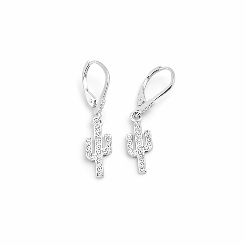 Aretes cactus